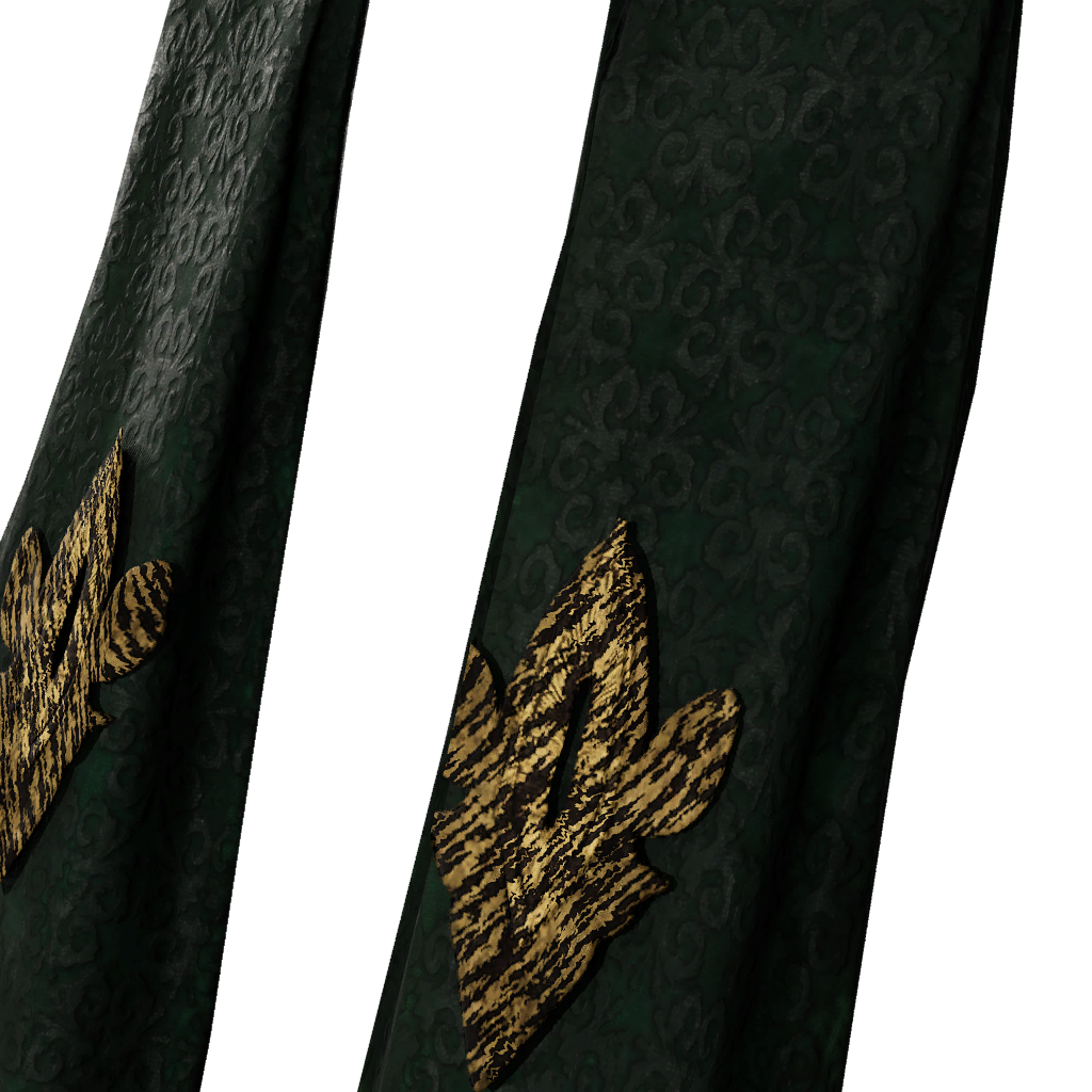 Erudite's Cloak