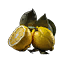 Lemon x5