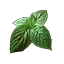 Herbs x5