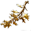 Golden Branch x2