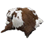 Sturdy Rawhide x10